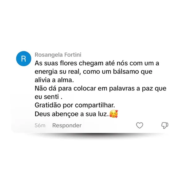 Depoimento de aluna Jardim de Linhas comentário real print número 1